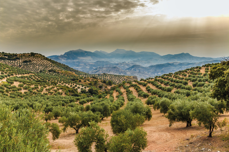 TIERRAS DEL MARQUESADO 7