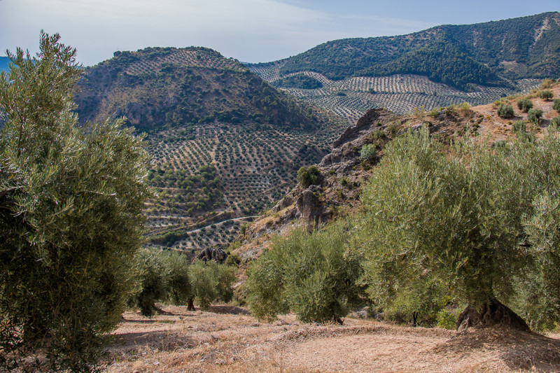 TIERRAS DEL MARQUESADO 4