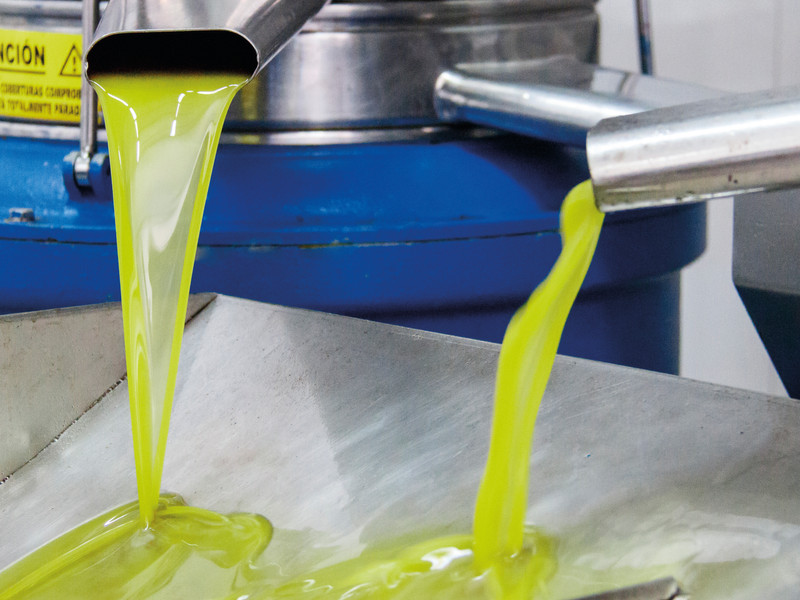 TIERRAS DEL MARQUESADO 3