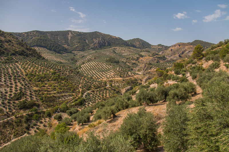 TIERRAS DEL MARQUESADO 5